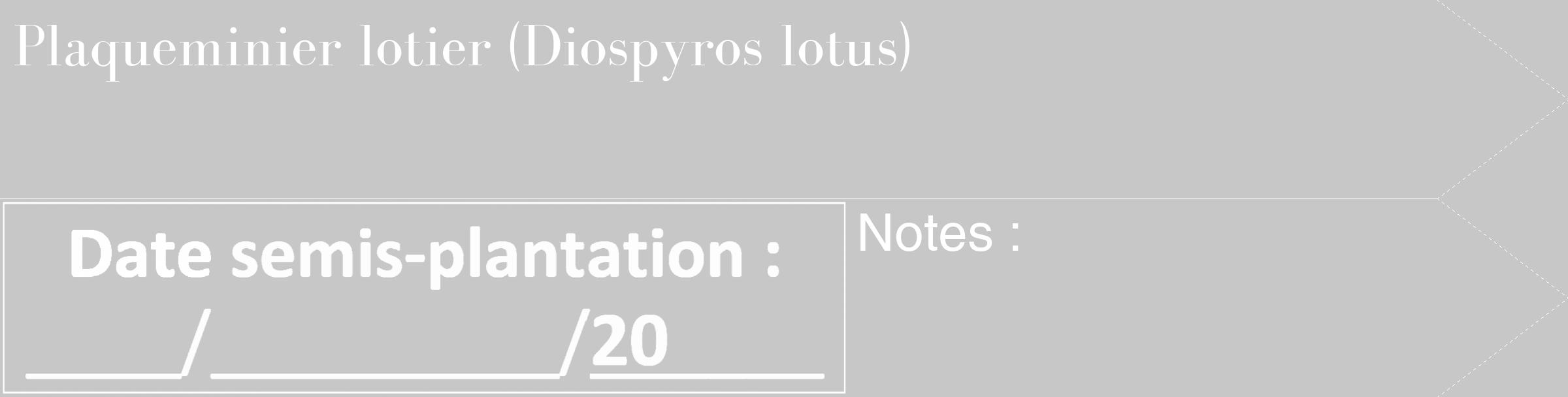 Étiquette de : Diospyros lotus - format c - style blanche15_simple_simplebod avec comestibilité