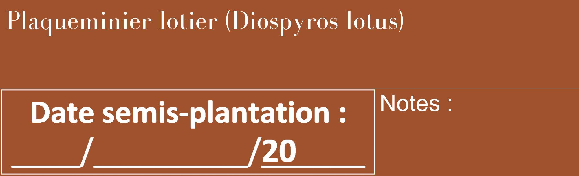 Étiquette de : Diospyros lotus - format c - style blanche32_basique_basiquebod avec comestibilité