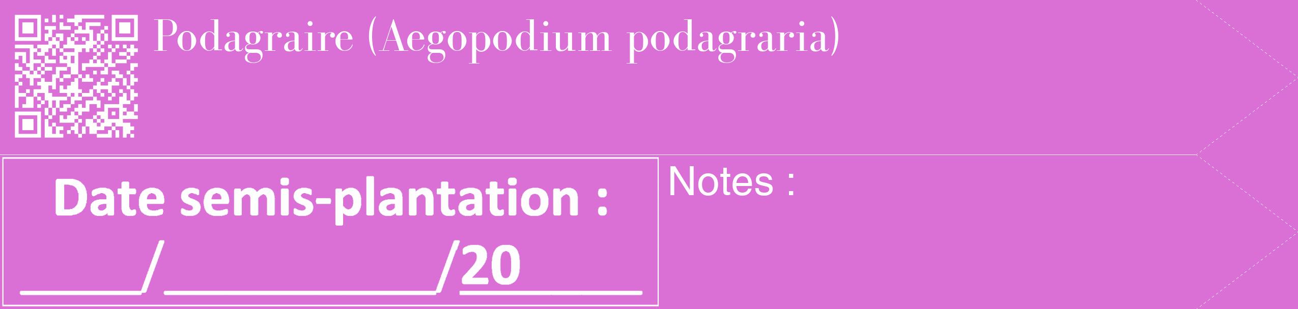 Étiquette de : Aegopodium podagraria - format c - style blanche52_simple_simplebod avec qrcode et comestibilité