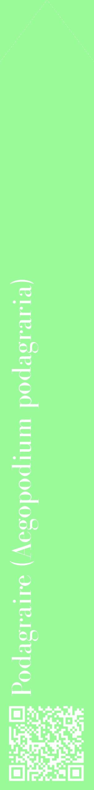 Étiquette de : Aegopodium podagraria - format c - style blanche14_simplebod avec qrcode et comestibilité