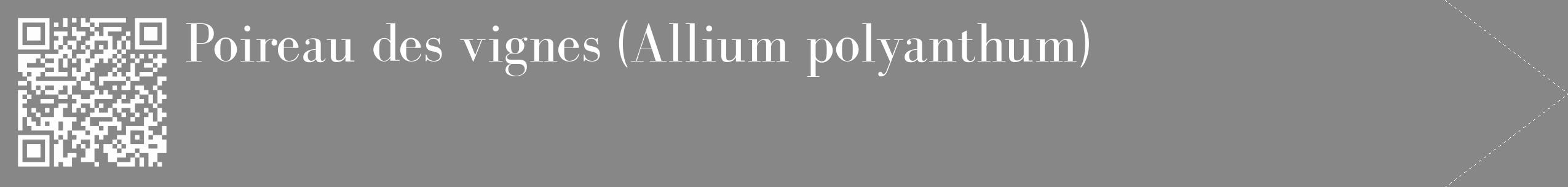 Étiquette de : Allium polyanthum - format c - style blanche12_simple_simplebod avec qrcode et comestibilité