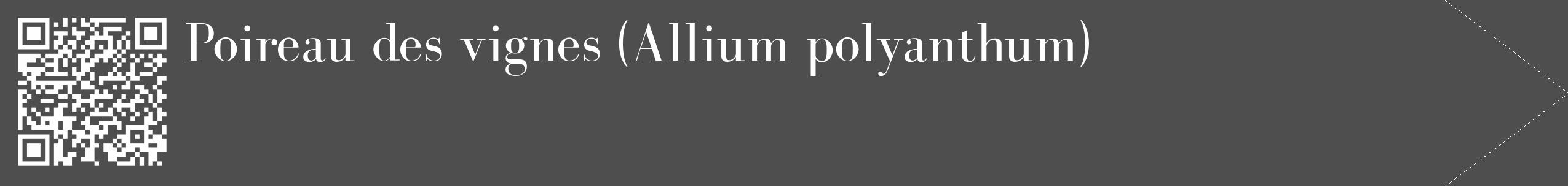 Étiquette de : Allium polyanthum - format c - style blanche33_simple_simplebod avec qrcode et comestibilité