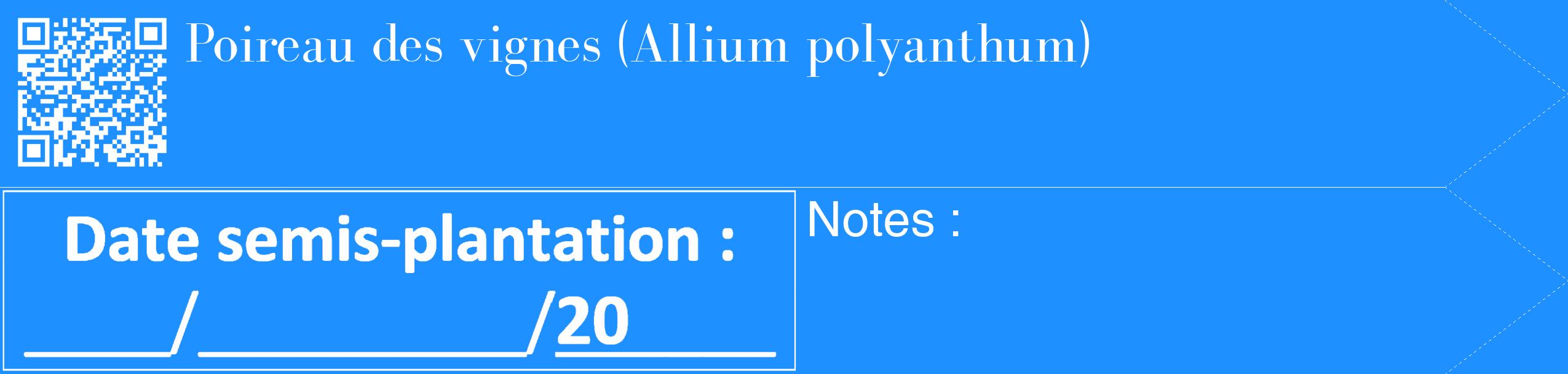 Étiquette de : Allium polyanthum - format c - style blanche3_simple_simplebod avec qrcode et comestibilité