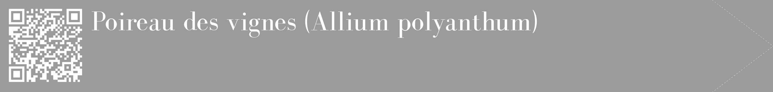 Étiquette de : Allium polyanthum - format c - style blanche52_simple_simplebod avec qrcode et comestibilité