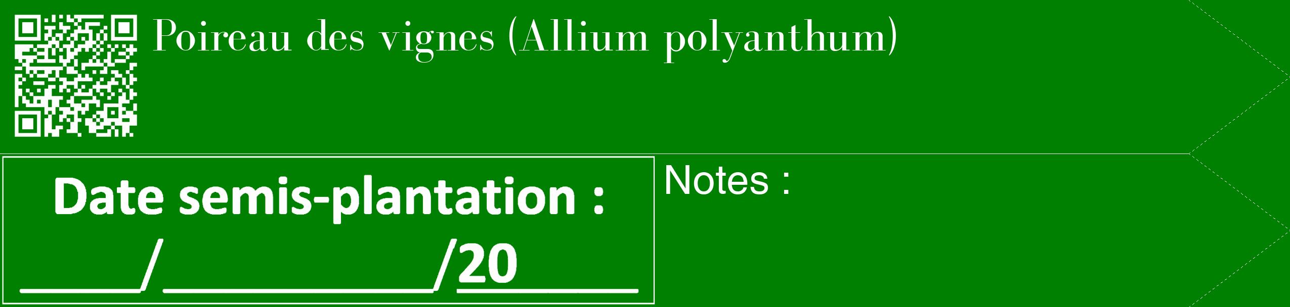 Étiquette de : Allium polyanthum - format c - style blanche9_simple_simplebod avec qrcode et comestibilité