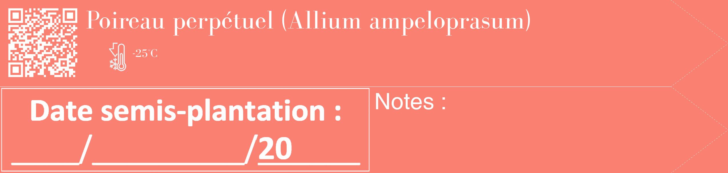 Étiquette de : Allium ampeloprasum - format c - style blanche38_simple_simplebod avec qrcode et comestibilité