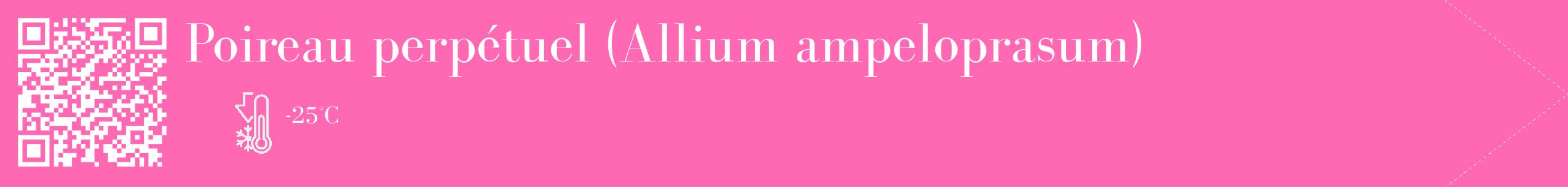 Étiquette de : Allium ampeloprasum - format c - style blanche42_simple_simplebod avec qrcode et comestibilité