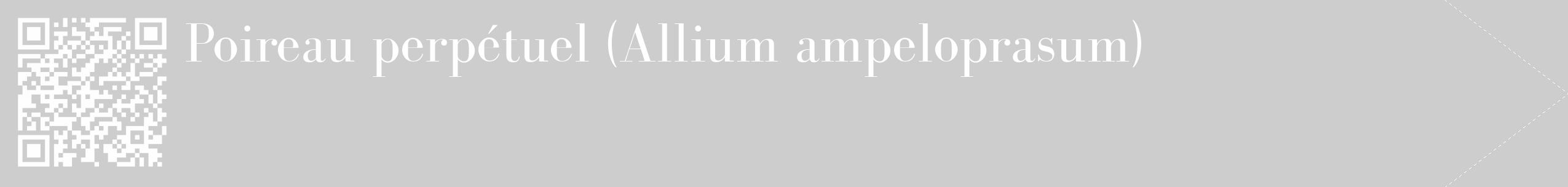Étiquette de : Allium ampeloprasum - format c - style blanche41_simple_simplebod avec qrcode et comestibilité