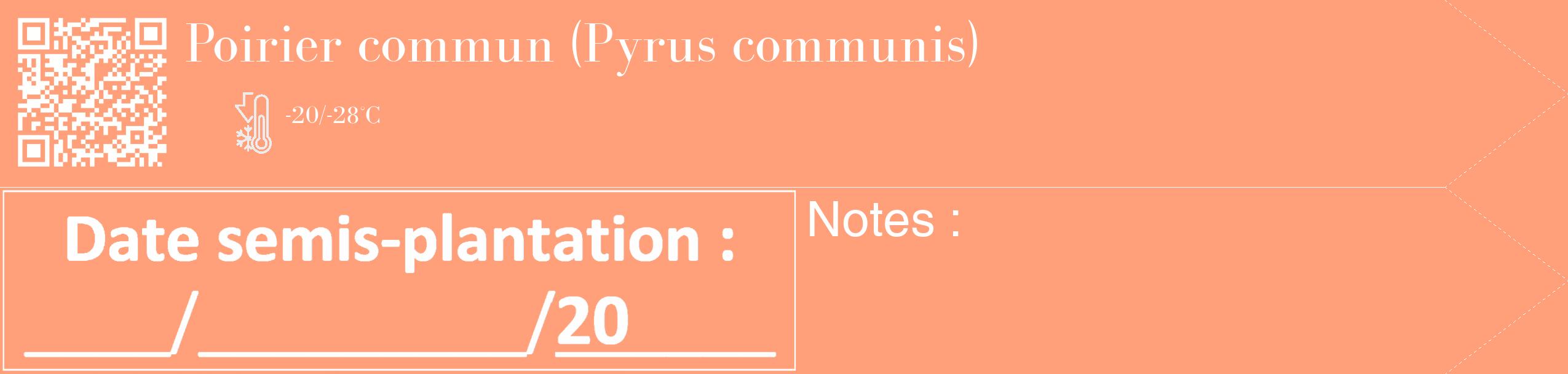 Étiquette de : Pyrus communis - format c - style blanche39_simple_simplebod avec qrcode et comestibilité