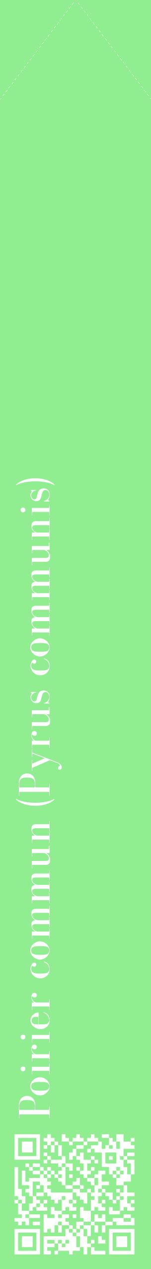 Étiquette de : Pyrus communis - format c - style blanche15_simplebod avec qrcode et comestibilité