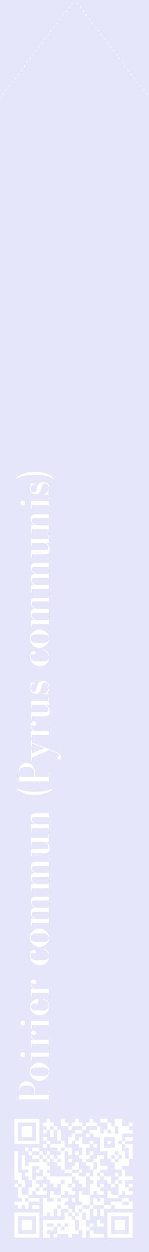 Étiquette de : Pyrus communis - format c - style blanche55_simplebod avec qrcode et comestibilité
