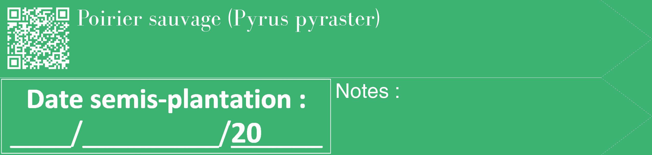 Étiquette de : Pyrus pyraster - format c - style blanche12_simple_simplebod avec qrcode et comestibilité