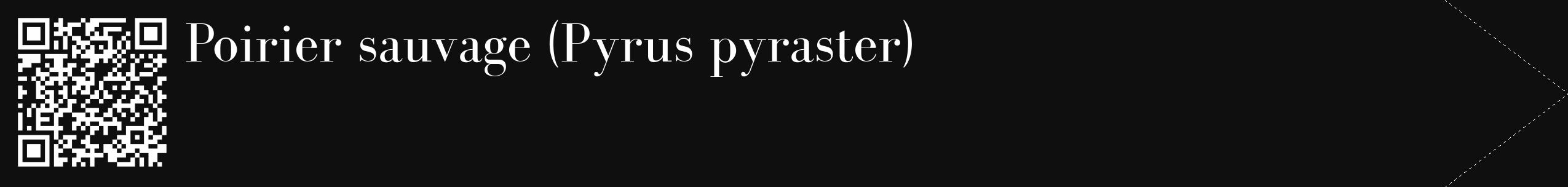 Étiquette de : Pyrus pyraster - format c - style blanche7_simple_simplebod avec qrcode et comestibilité