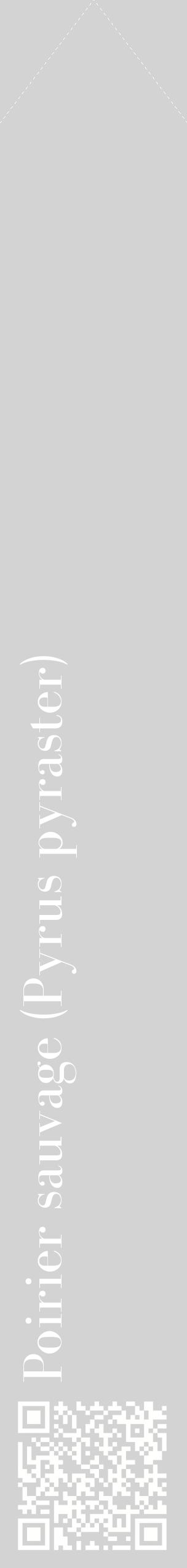 Étiquette de : Pyrus pyraster - format c - style blanche56_simplebod avec qrcode et comestibilité