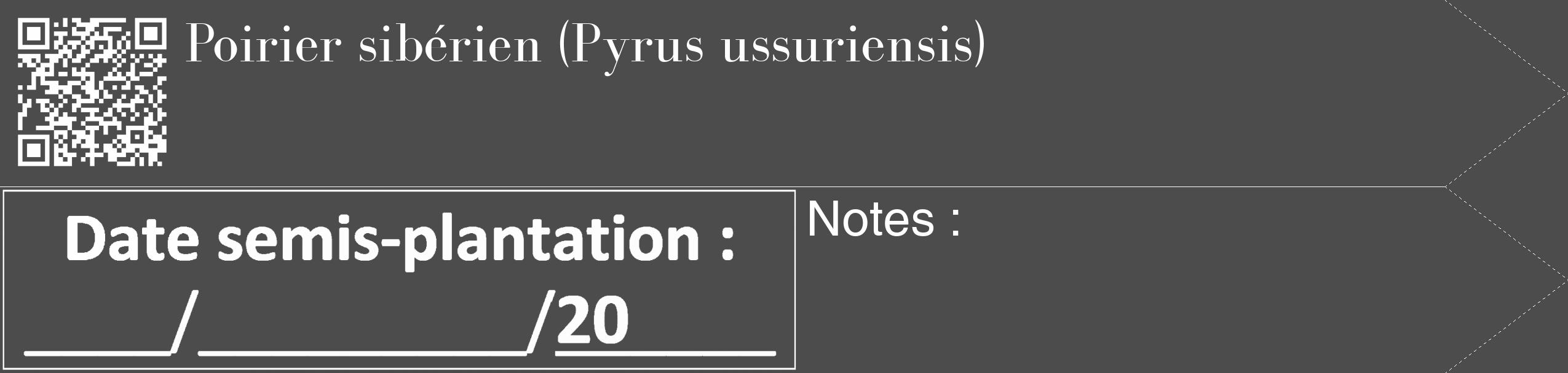 Étiquette de : Pyrus ussuriensis - format c - style blanche27_simple_simplebod avec qrcode et comestibilité