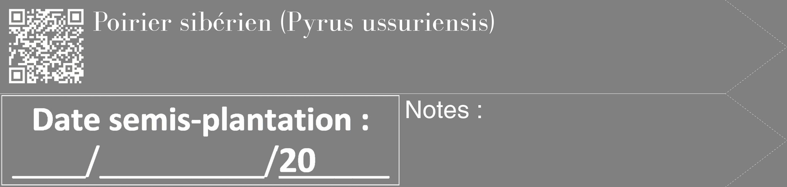 Étiquette de : Pyrus ussuriensis - format c - style blanche57_simple_simplebod avec qrcode et comestibilité