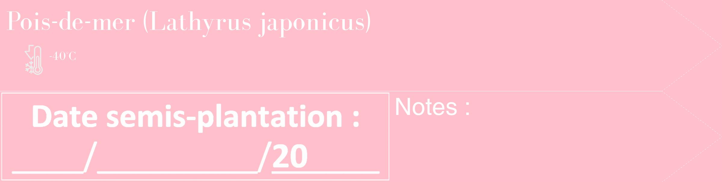 Étiquette de : Lathyrus japonicus - format c - style blanche40_simple_simplebod avec comestibilité