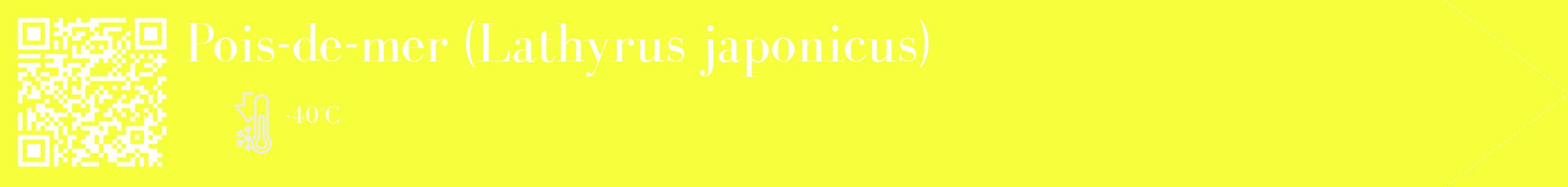 Étiquette de : Lathyrus japonicus - format c - style blanche18_simple_simplebod avec qrcode et comestibilité