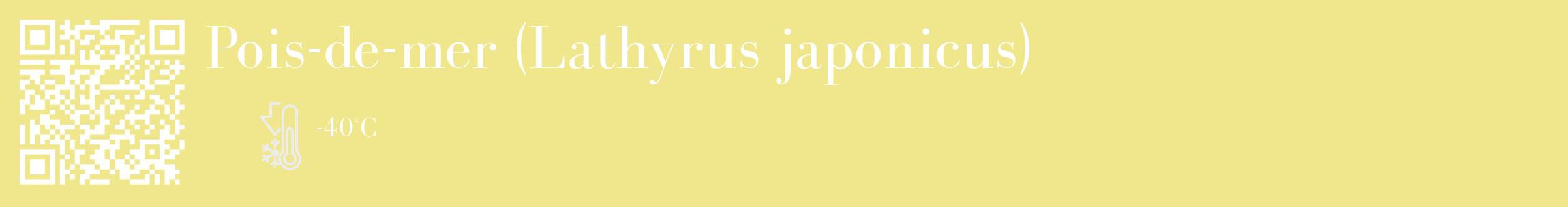 Étiquette de : Lathyrus japonicus - format c - style blanche20_basique_basiquebod avec qrcode et comestibilité