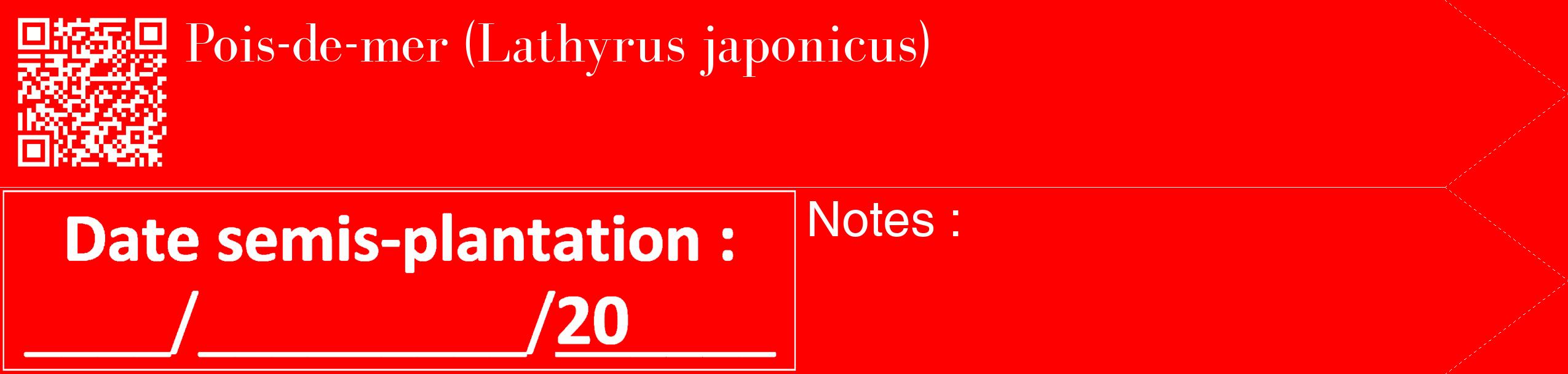 Étiquette de : Lathyrus japonicus - format c - style blanche27_simple_simplebod avec qrcode et comestibilité