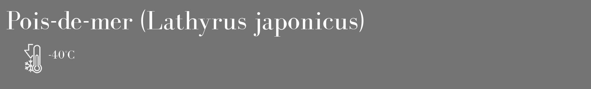Étiquette de : Lathyrus japonicus - format c - style blanche26_basique_basiquebod avec comestibilité