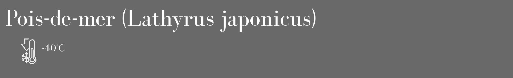 Étiquette de : Lathyrus japonicus - format c - style blanche51_basique_basiquebod avec comestibilité