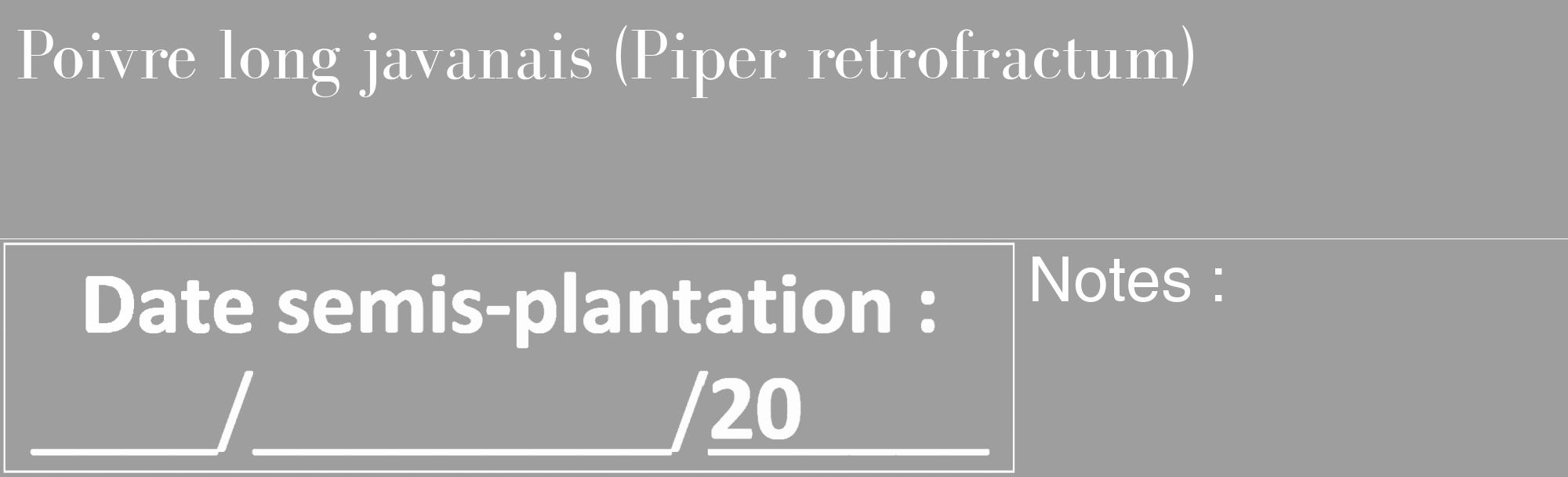 Étiquette de : Piper retrofractum - format c - style blanche42_basique_basiquebod avec comestibilité