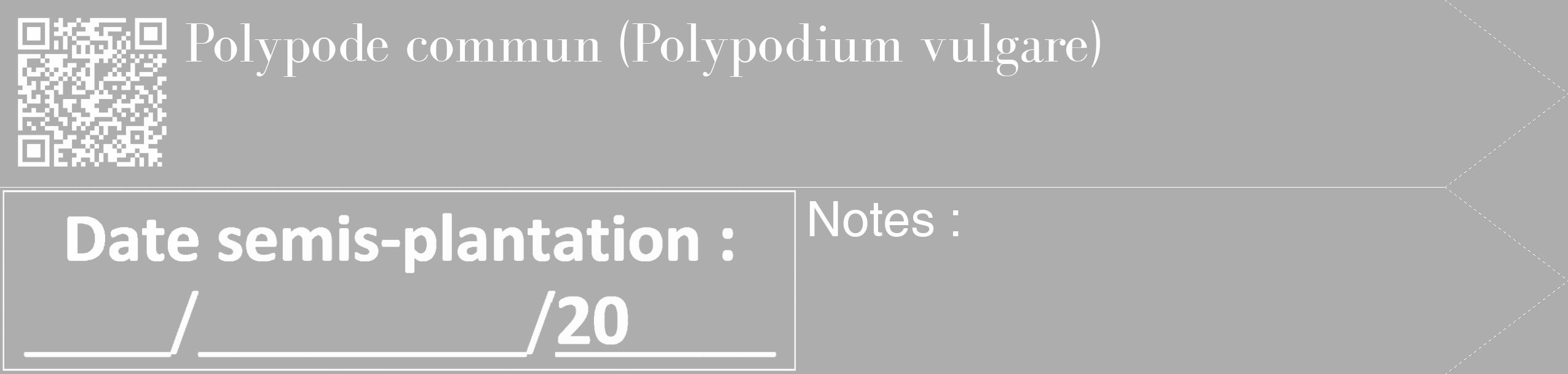 Étiquette de : Polypodium vulgare - format c - style blanche22_simple_simplebod avec qrcode et comestibilité