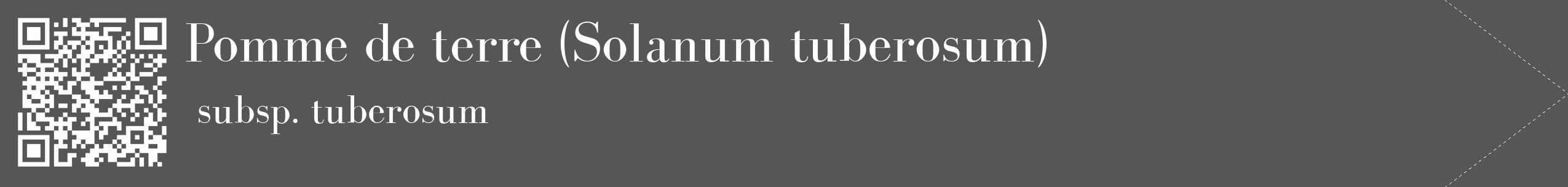 Étiquette de : Solanum tuberosum subsp. tuberosum - format c - style blanche45_simple_simplebod avec qrcode et comestibilité