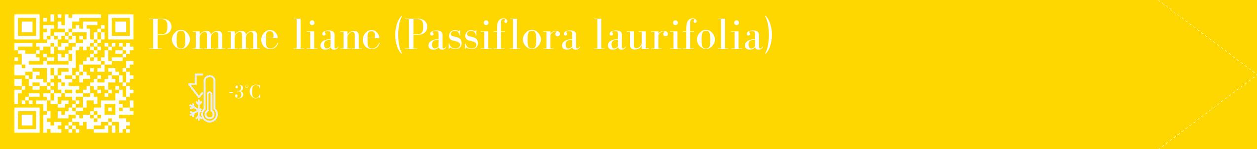 Étiquette de : Passiflora laurifolia - format c - style blanche21_simple_simplebod avec qrcode et comestibilité