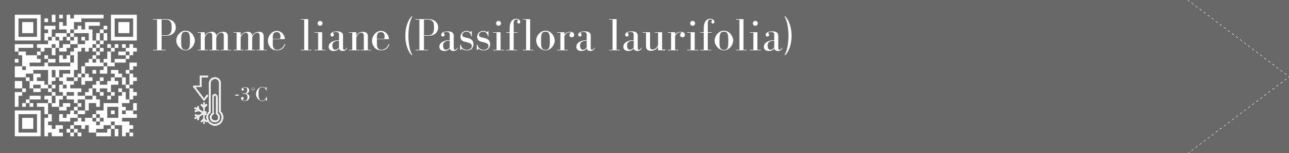 Étiquette de : Passiflora laurifolia - format c - style blanche6_simple_simplebod avec qrcode et comestibilité