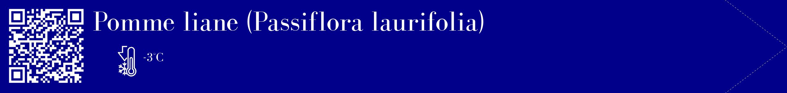 Étiquette de : Passiflora laurifolia - format c - style blanche7_simple_simplebod avec qrcode et comestibilité