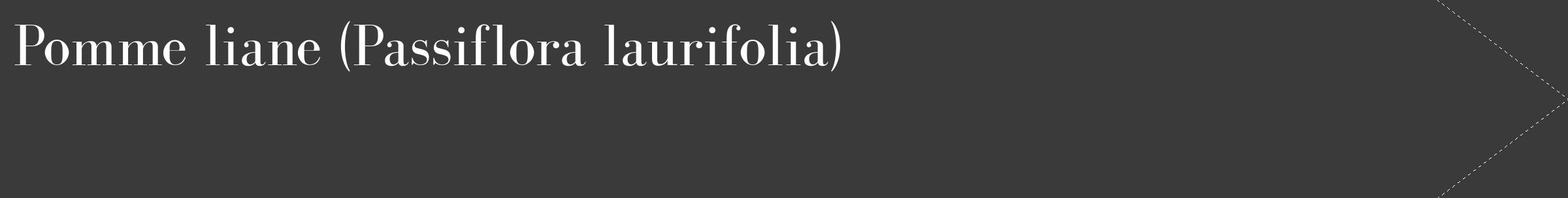 Étiquette de : Passiflora laurifolia - format c - style blanche8_simple_simplebod avec comestibilité