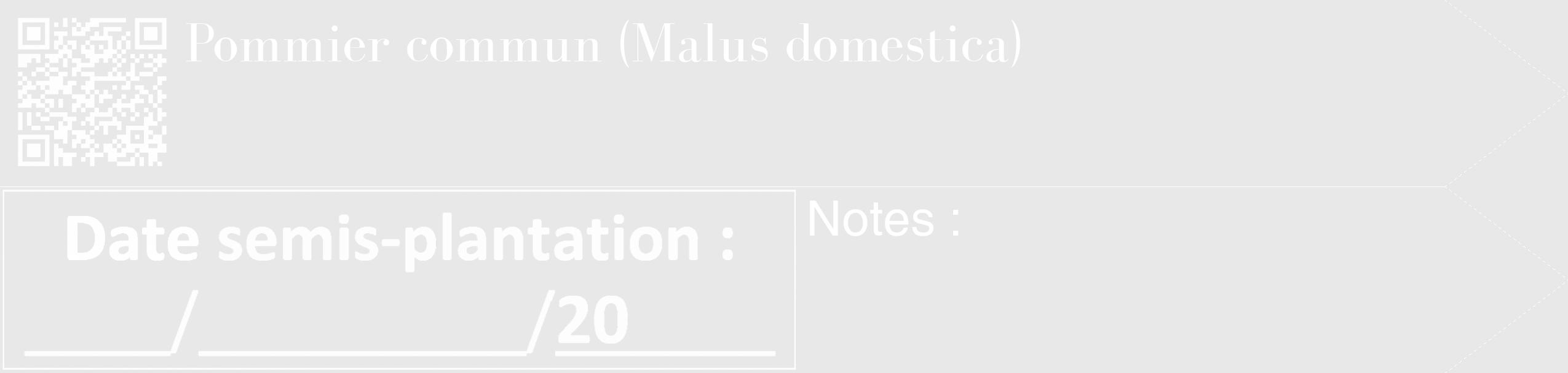 Étiquette de : Malus domestica - format c - style blanche55_simple_simplebod avec qrcode et comestibilité