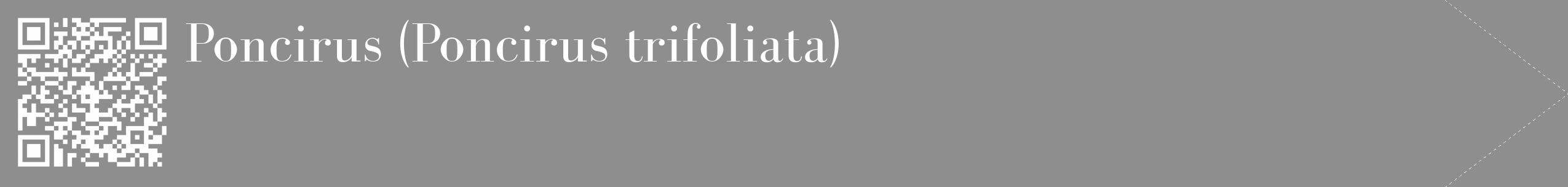 Étiquette de : Poncirus trifoliata - format c - style blanche25_simple_simplebod avec qrcode et comestibilité