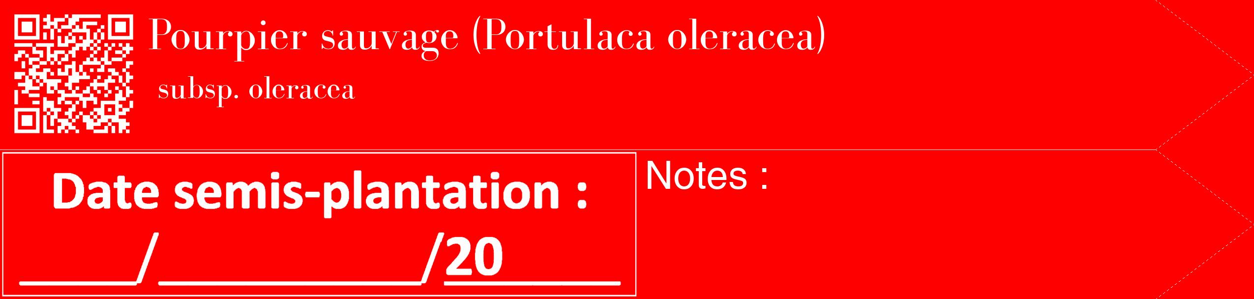 Étiquette de : Portulaca oleracea subsp. oleracea - format c - style blanche27_simple_simplebod avec qrcode et comestibilité