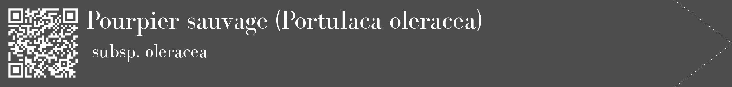 Étiquette de : Portulaca oleracea subsp. oleracea - format c - style blanche28_simple_simplebod avec qrcode et comestibilité