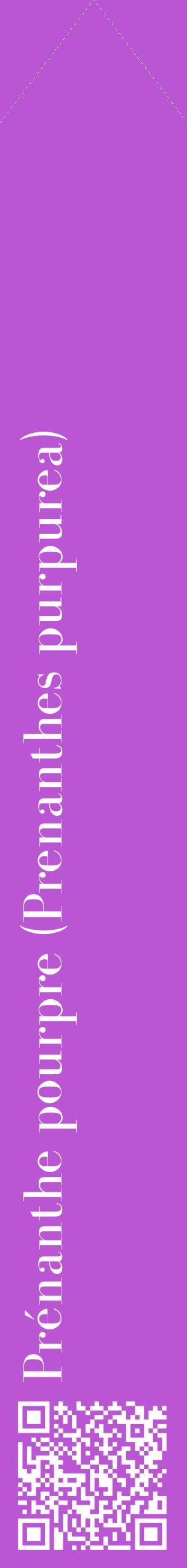 Étiquette de : Prenanthes purpurea - format c - style blanche50_simplebod avec qrcode et comestibilité