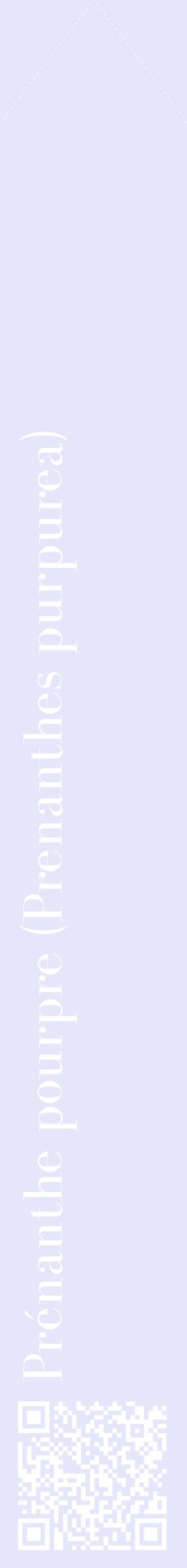 Étiquette de : Prenanthes purpurea - format c - style blanche55_simplebod avec qrcode et comestibilité