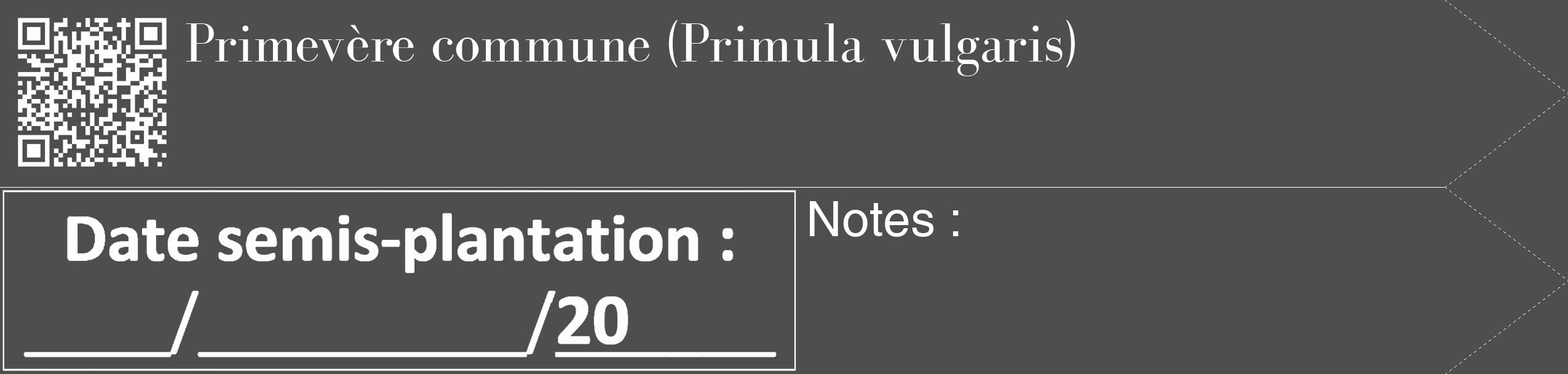 Étiquette de : Primula vulgaris - format c - style blanche33_simple_simplebod avec qrcode et comestibilité