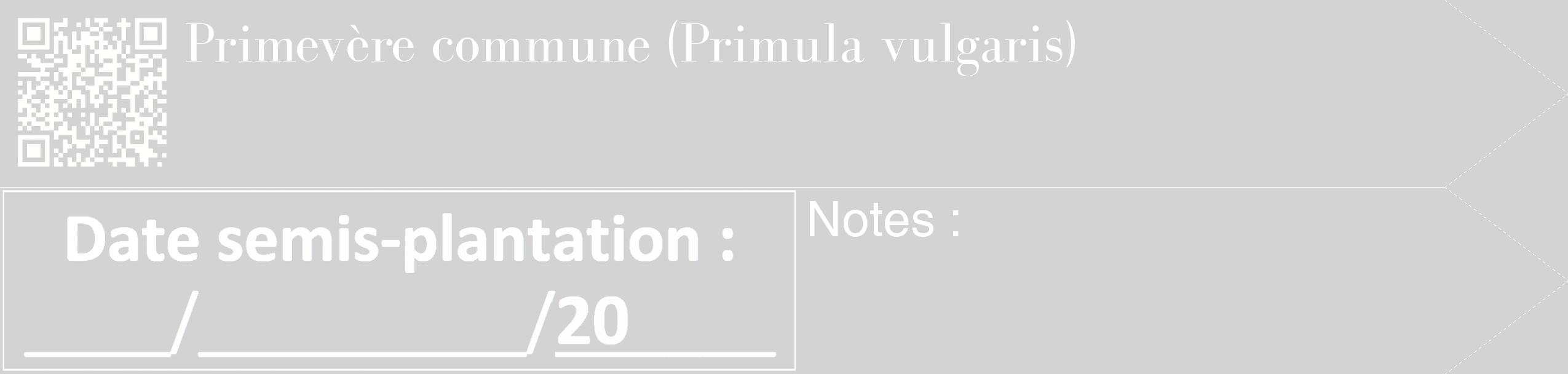 Étiquette de : Primula vulgaris - format c - style blanche56_simple_simplebod avec qrcode et comestibilité