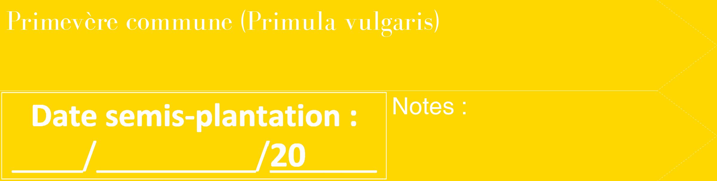 Étiquette de : Primula vulgaris - format c - style blanche21_simple_simplebod avec comestibilité