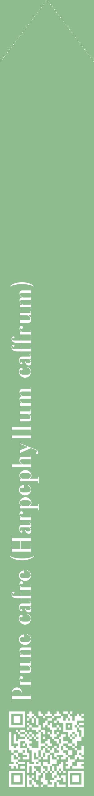 Étiquette de : Harpephyllum caffrum - format c - style blanche13_simplebod avec qrcode et comestibilité