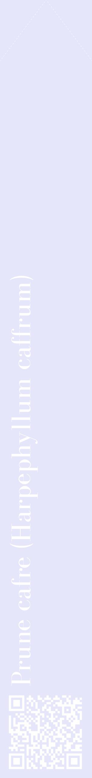 Étiquette de : Harpephyllum caffrum - format c - style blanche55_simplebod avec qrcode et comestibilité