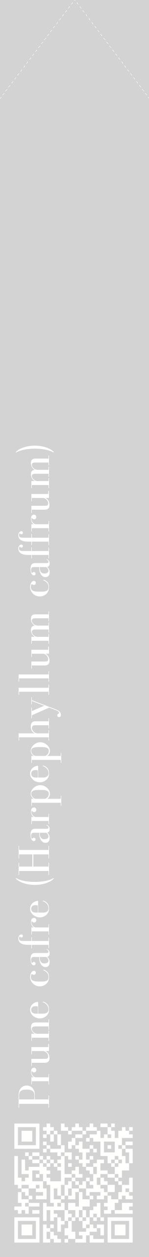 Étiquette de : Harpephyllum caffrum - format c - style blanche56_simplebod avec qrcode et comestibilité