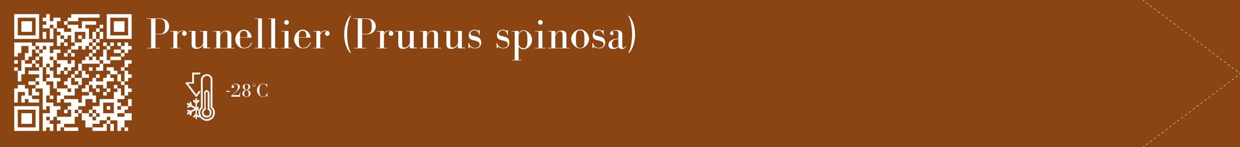 Étiquette de : Prunus spinosa - format c - style blanche30_simple_simplebod avec qrcode et comestibilité