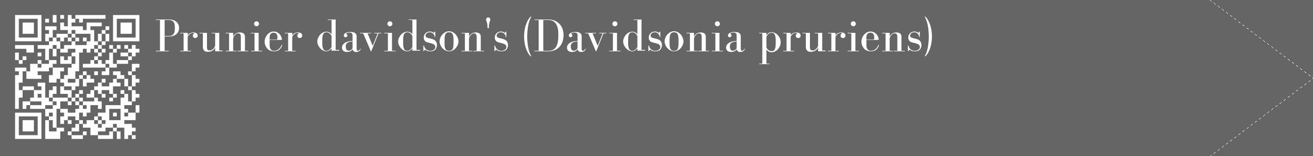 Étiquette de : Davidsonia pruriens - format c - style blanche32_simple_simplebod avec qrcode et comestibilité