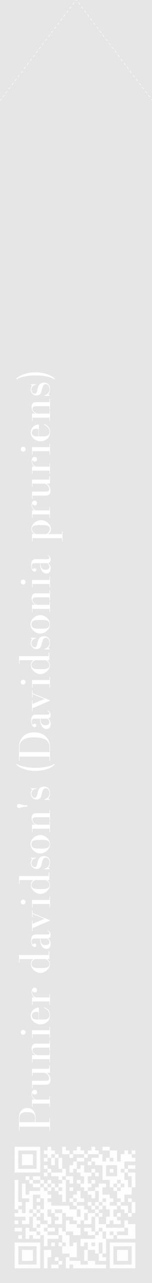 Étiquette de : Davidsonia pruriens - format c - style blanche18_simple_simplebod avec qrcode et comestibilité - position verticale