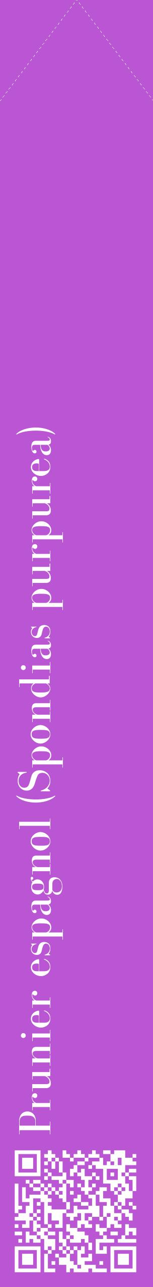 Étiquette de : Spondias purpurea - format c - style blanche50_simplebod avec qrcode et comestibilité