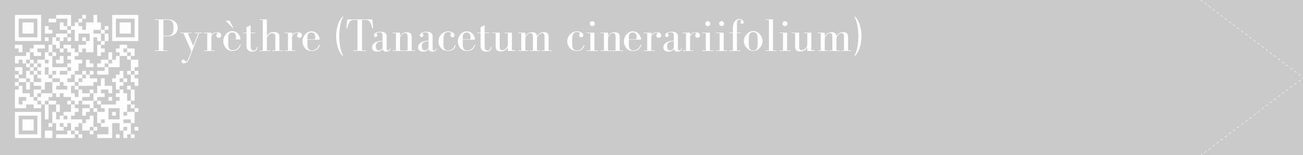 Étiquette de : Tanacetum cinerariifolium - format c - style blanche21_simple_simplebod avec qrcode et comestibilité